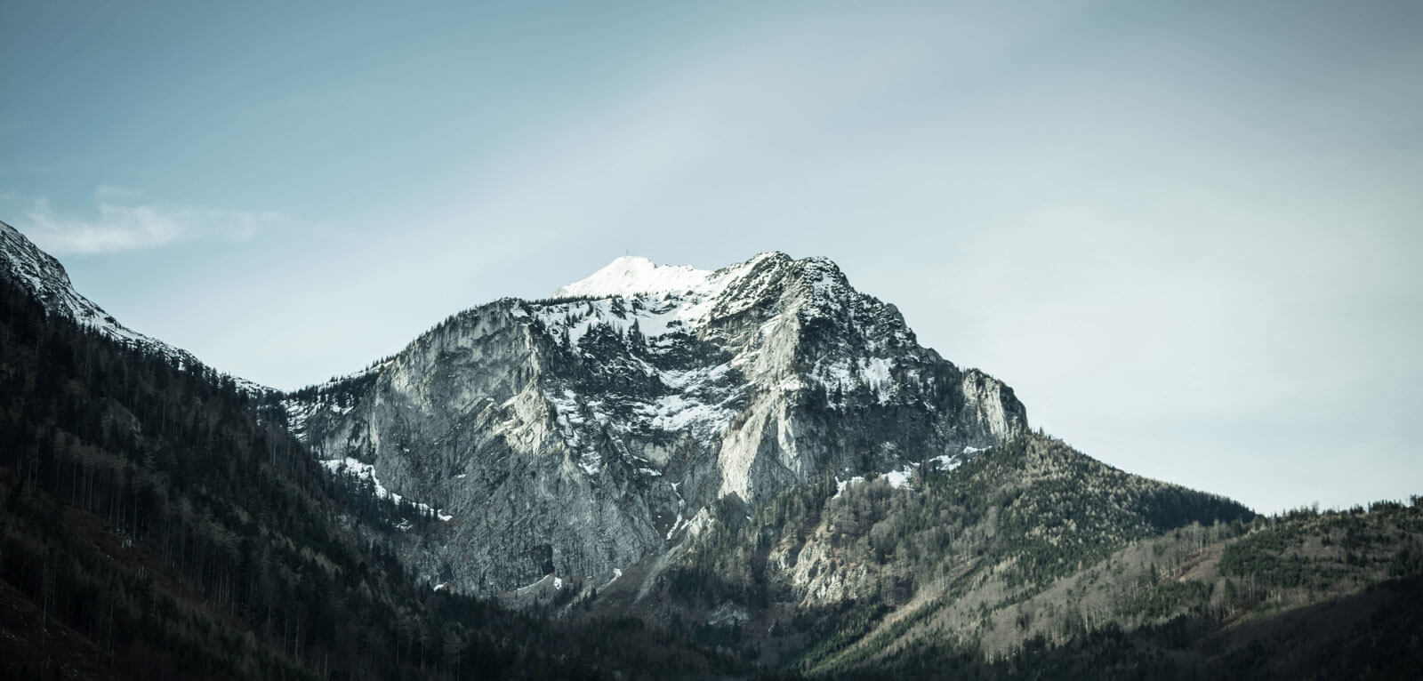 Texte Odoo et bloc d'image